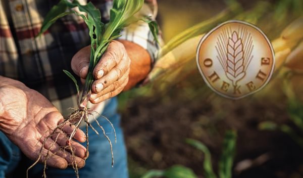 ΟΠΕΚΕΠΕ: Στους λογαριασμούς 110.868 αγροτών το ποσό των 119,1 εκατ. ευρώ