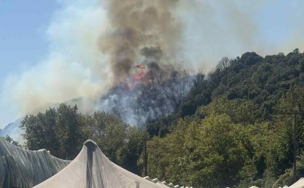 Φωτιά στο Παγγαίο Καβάλας – Eπιχειρούν 2 αεροσκάφη και 1 ελικόπτερο