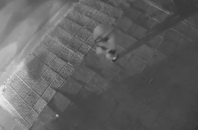 «Οι αστυνομικοί χτύπησαν τα παιδιά» – Τι καταγγέλλει μητέρα 15χρονου που ήταν στο ΙΧ που οδηγούσε ο γιος του Μ. Κατρίνη