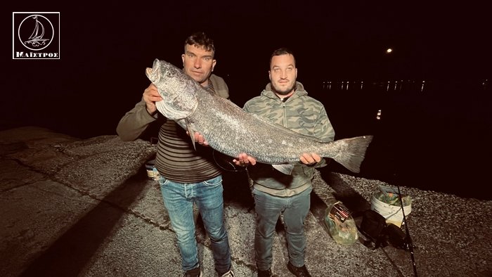 Μυθικό μυλοκόπι 14 κιλών στην παραλία της Αμφιλοχίας – Ερασιτέχνης ψαράς σε μάχη 40 λεπτών!