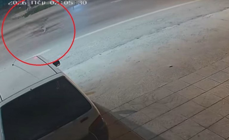 Αλεξάνδρεια: Λύκοι κάνουν βόλτα έξω από σπίτια – Βίντεο ντοκουμέντο